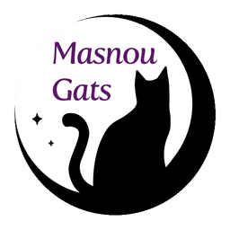 Masnou Gats